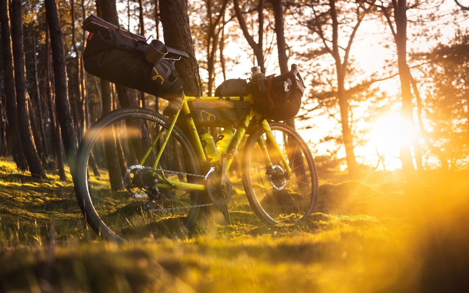 Vélo gravel chargé de sacoches dans une forêt